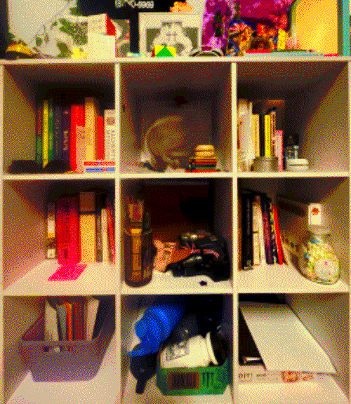 Shelf Image